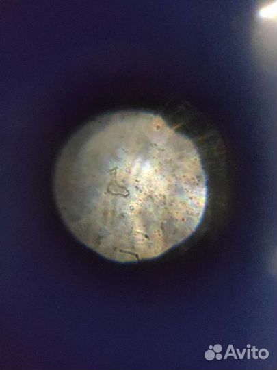 Микроскоп детский