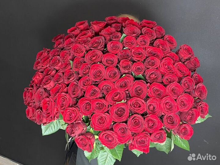 101 Роза Красные розы букет роз Цветы