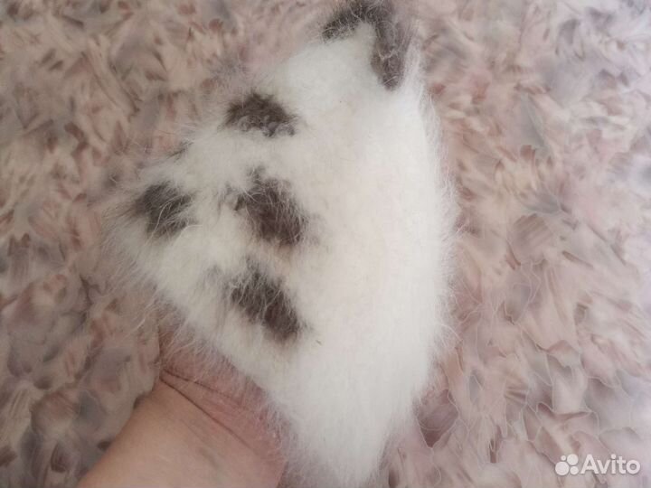 Шапка для малышей