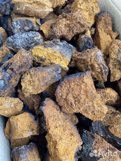 Чага Березовая Чага-чай