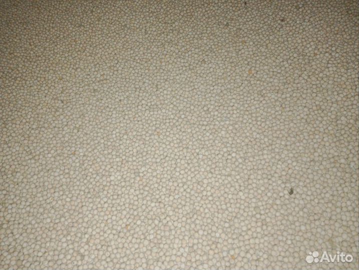 Горох кормовой