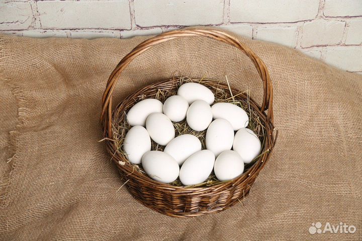 Яйцо куриное с1 белое / продажа от 3 десятков