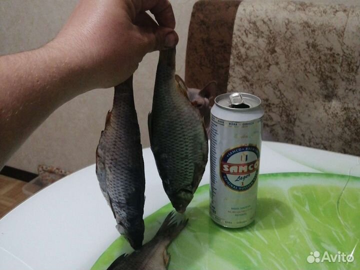 Вобла вяленая(малосол)