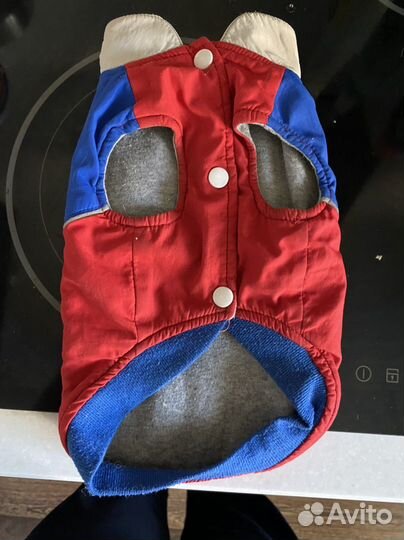 Одежда - для маленьких собак