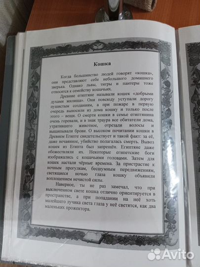 Альбом с картинками животных