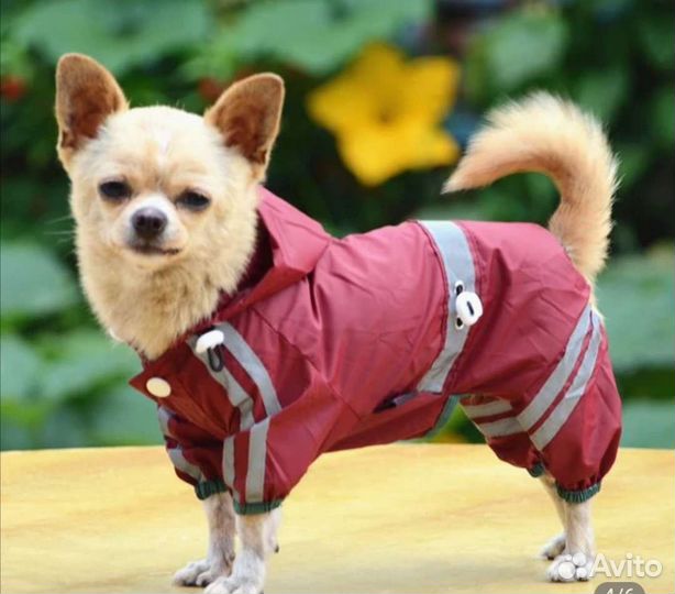 Дождевик для собак новый, куртка для собак