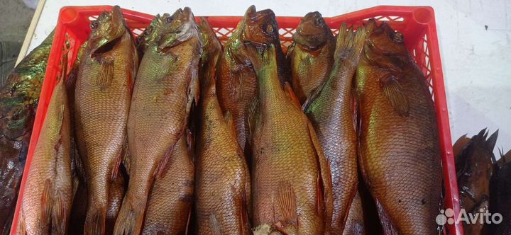 Рыба горячего, холодного копчения