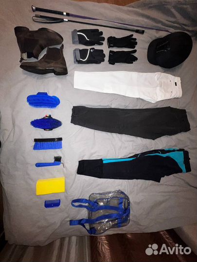 Конная амуниция