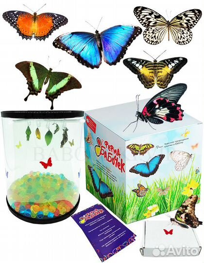 Ферма бабочек