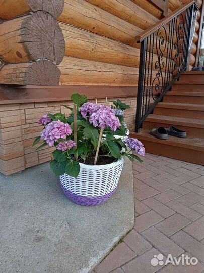 Кашпо уличное из искусственного ротанга