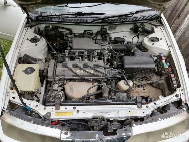 Toyota corolla ceres