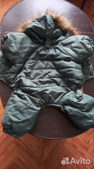 Одежда для собак