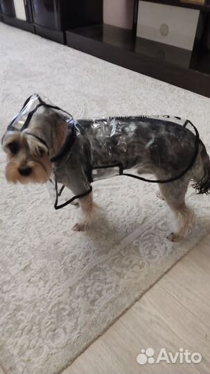 Плащ-дождевик для собаки