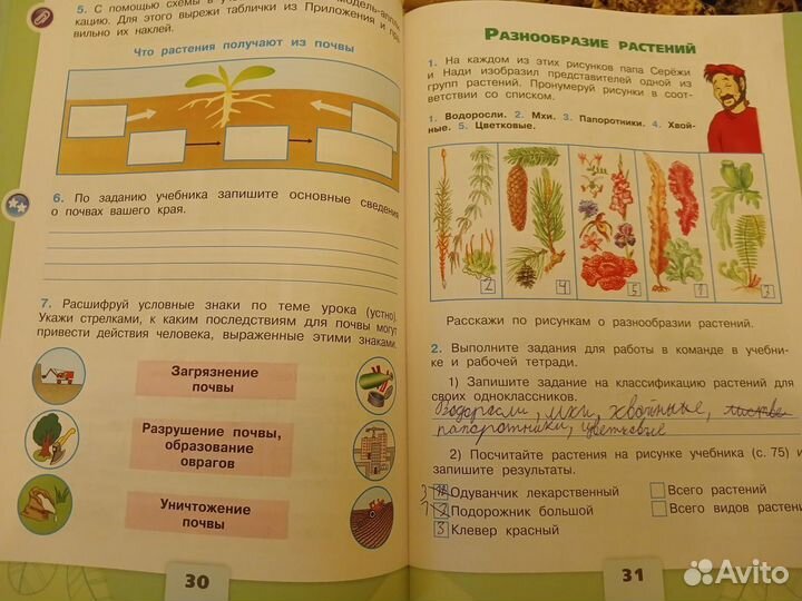 Рабочая тетрадь Окружающий мир 3 класс 2 части