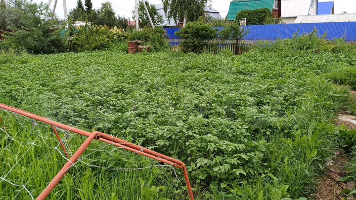 Дача 25 м² на участке 5 сот.