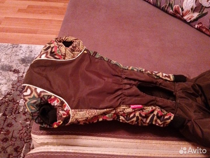 Одежда для маленьких собак