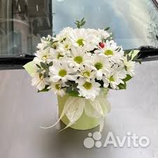 Свежие цветы