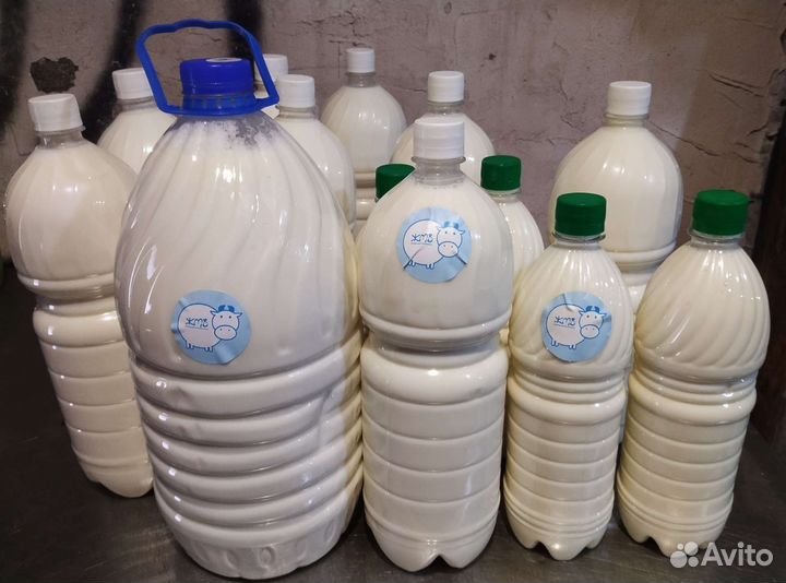 Молоко коровье сыропригодное