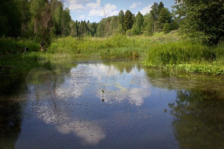 Участок 13,77 га (ИЖС)