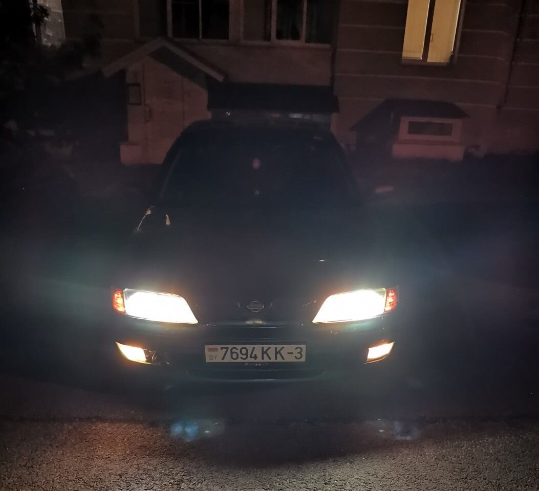 Nissan Primera: фото владельца