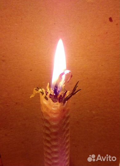 Арома-свеча «тайга» с пихтовыми лапками и пихтовым