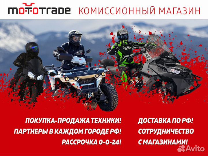 Скутер motoland (мотоленд) paladin sport 200 (150)