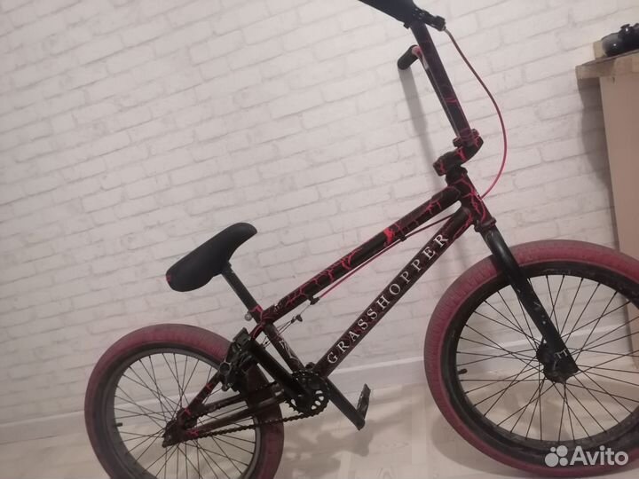 BMX grasshoper TT