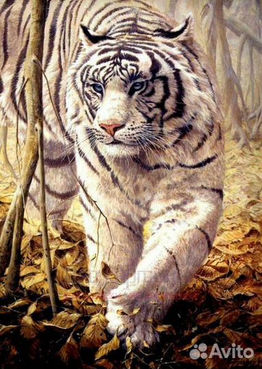 Алмазная мозаика 40x50 Белый тигр в осеннем