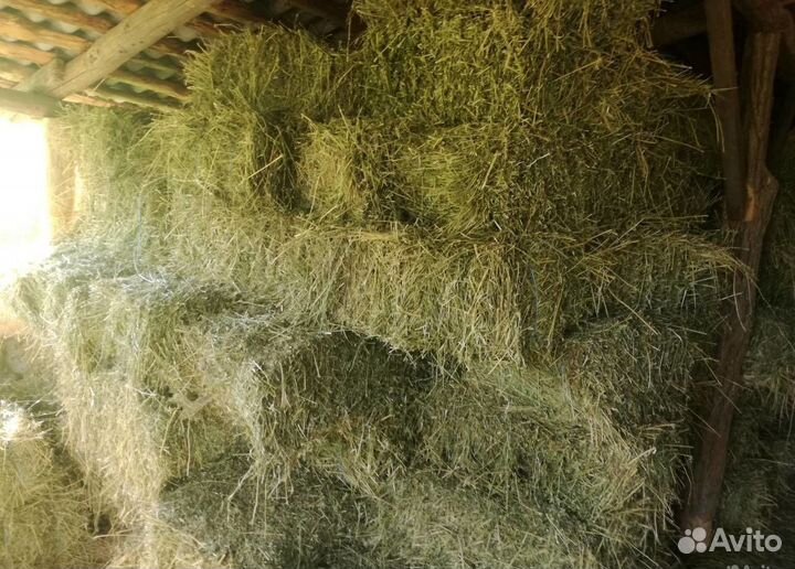 Сено в тюках