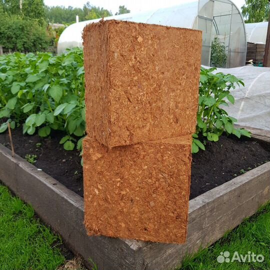 Кокосовый субстрат