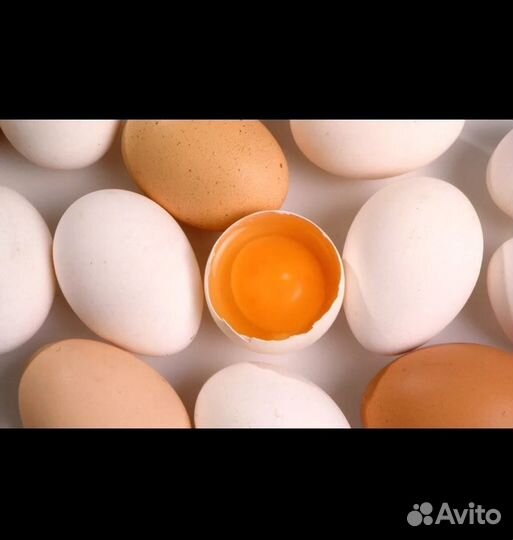 Яйцо домашнее куриное
