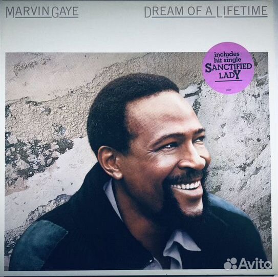 Marvin Gaye - Dream Of A Lifetime (LP, Album)