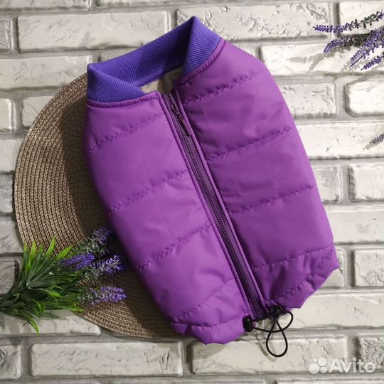 Одежда для собак