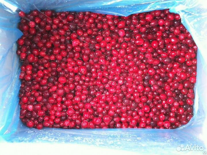 Клюква дикая 1 сорт/ замороженные ягоды