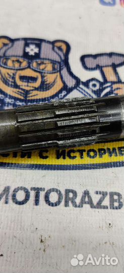 Вал Кик Днепр