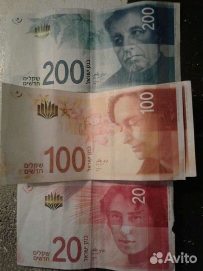 Новый шекель для коллекции