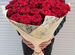 Розы Букеты Цветы Розы 31 101 151 201 Доставка