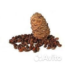 Орех кедровый