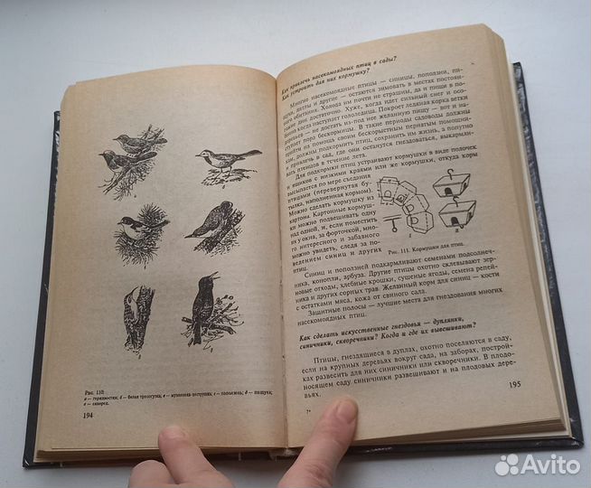 Сады России и снг. Вопросы и ответы