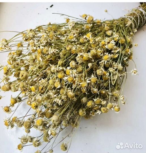 Травы для бани, сауны, чая