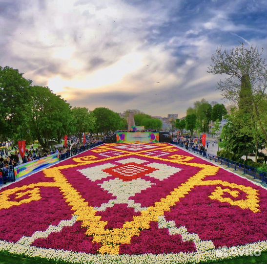 Путешествия