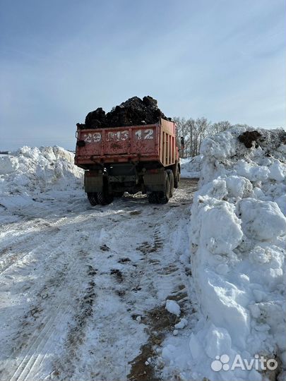 Перегной конский, перегной коровий