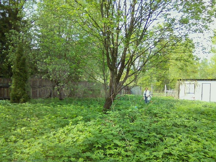 Участок 16 сот. (ИЖС)