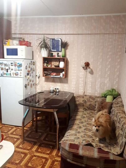 1-к. квартира, 29,5 м², 2/3 эт.