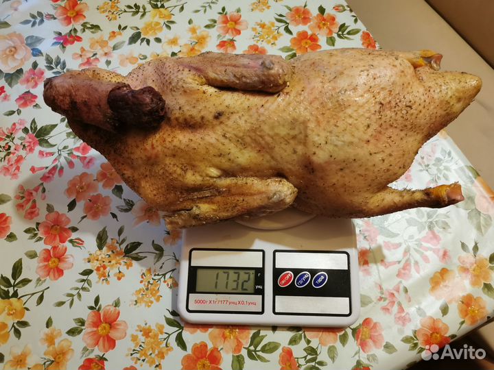 Утка домашняя мясо