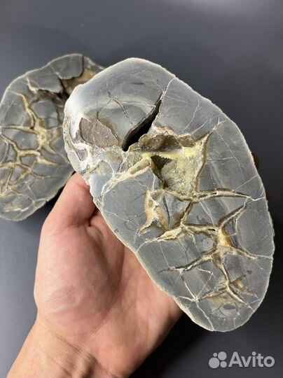 Полированная септария