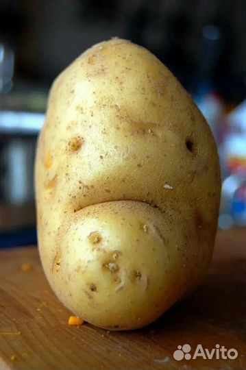 Продам картофель