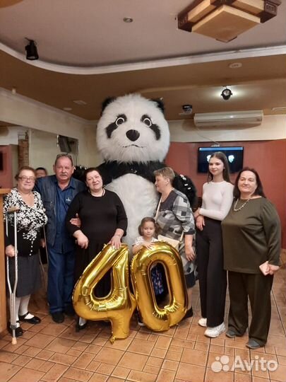 Аниматор, ростовая кукла Панда