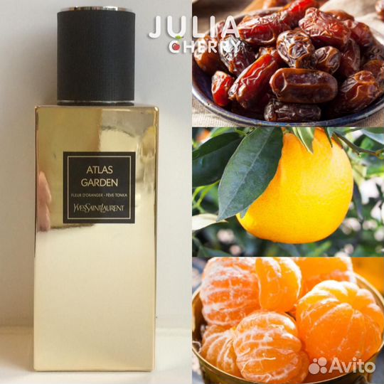 Atlas garden YSL