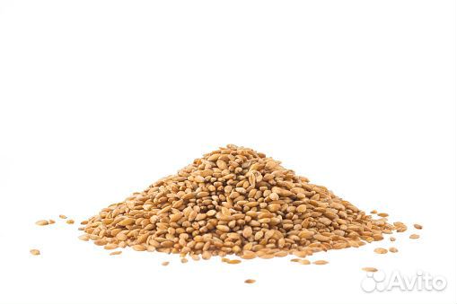 Пшеница Ячмень Овёс Дроблёнка